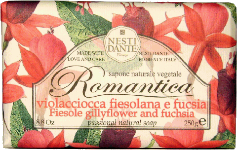 FIESOLE GILLYFLOWER AND FUCHSIA