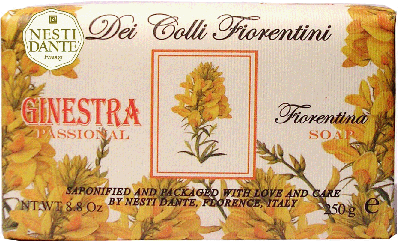GINESTRA (BROOM)